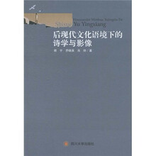 后现代文化语境下的诗学与影像