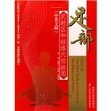 足部反射区和经络穴位挂图（中英文版）