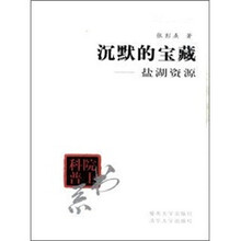 沉默的宝藏：盐湖资源