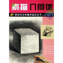 新生代少年美术起步丛书：素描几何体