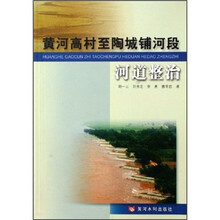 黄河高村到陶城堡河段河道整治