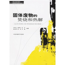 固体废物的焚烧和热解
