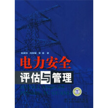 电力安全评估与管理