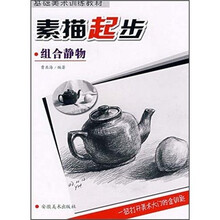 基础美术训练教材：素描起步（组合静物）