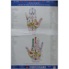 王大有全息手诊手疗挂图（三）（中英文对照版）