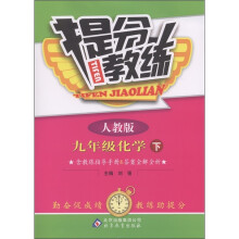 提分教练:9年级化学(下)(人教版)