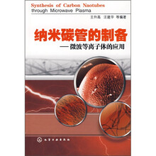 纳米碳管的制备：微波等离子体的应用