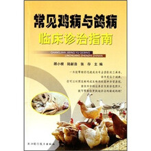 常见鸡病与鸽病临床诊治指南