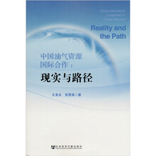 中国油气资源国际合作：现实与路径