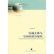 区域主体与空间经济自组织