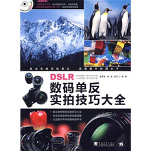 数码单反实拍技巧大全（1DVD+跑焦测试器）