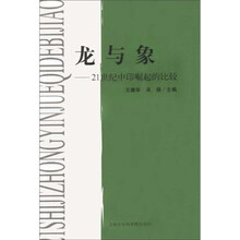 龙与象：21世纪中印崛起的比较
