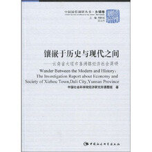 镶嵌于历史与现代之间：云南省大理市喜洲镇经济社会调研