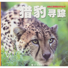 猎豹寻踪