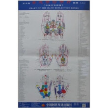 王大有全息手诊手疗挂图（二）（中英文对照版）