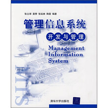 管理信息系统：开发与管理