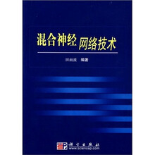 混合神经网络技术