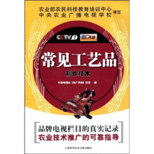 常见工艺品制作技术