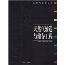 天然气工程丛书：天然气输送与储存工程