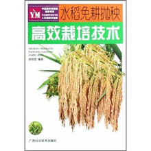 水稻免耕抛秧高效栽培技术