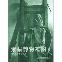 素描静物范图（6美术教学示范作品）