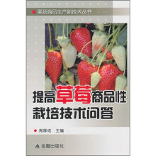 提高草莓商品性栽培技术问答