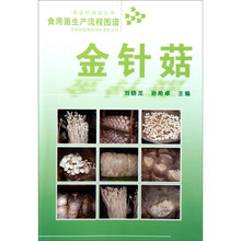 食用菌生产流程图谱:金针菇