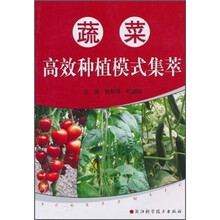 蔬菜高效种植模式集萃