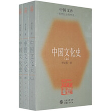 中国文化史（套装上中下册）