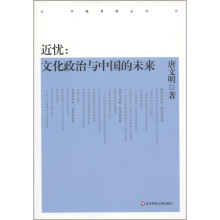 中国思想丛书·近忧：文化政治与中国的未来