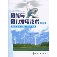 风能与风力发电技术（第2版）