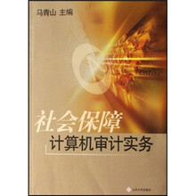 社会保障计算机审计实务
