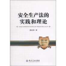安全生产法的实践和理论