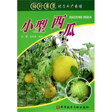 小型西瓜