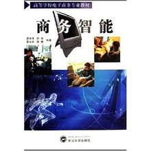 高等学校电子商务专业教材：商务智能