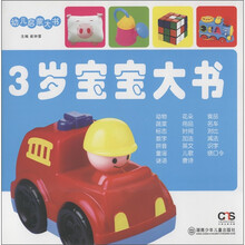 幼儿启蒙大书：3岁宝宝大书