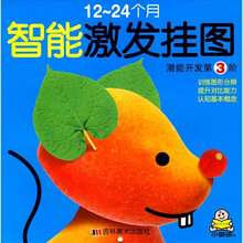 小婴孩·智能激发挂图：潜能开发第3阶（12-24个月）