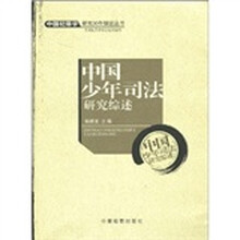 中国少年司法研究综述