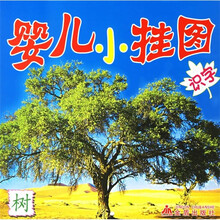 婴儿小挂图:识字