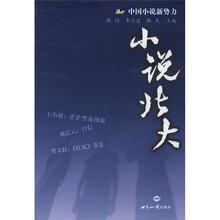 小说北大