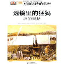 透镜里的猛犸:波的奥秘(全彩)