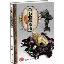 天下收藏：奇石收藏指南（1）