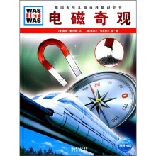 电磁奇观