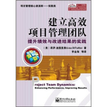 建立高效项目管理团队:提升绩效与改进结果的实践
