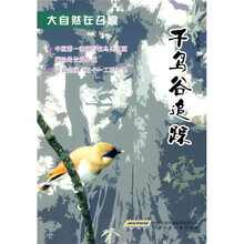 大自然在召唤：千鸟谷追踪