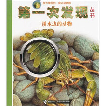第一次发现丛书·放大镜系列：溪水里的动物