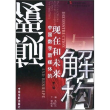 颠覆与解构：中国数字新媒体的现在和未来