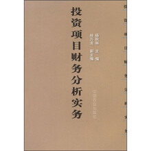 投资项目财务分析实务