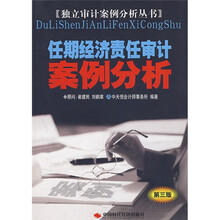 任期经济责任审计案例分析（第3版）