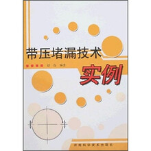 带压堵漏技术实例